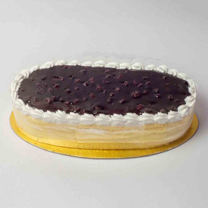 Delicious Blueberry Cheese Cake